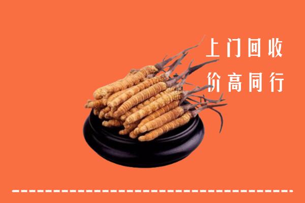 高价求购：大理回收散虫草