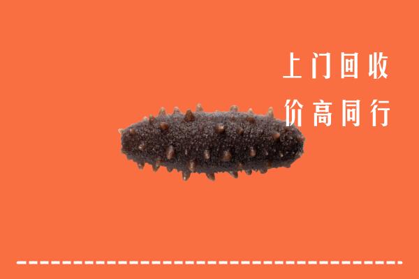 高价求购：大理回收海参