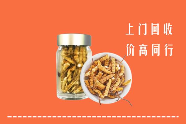 大理回收冬虫夏草