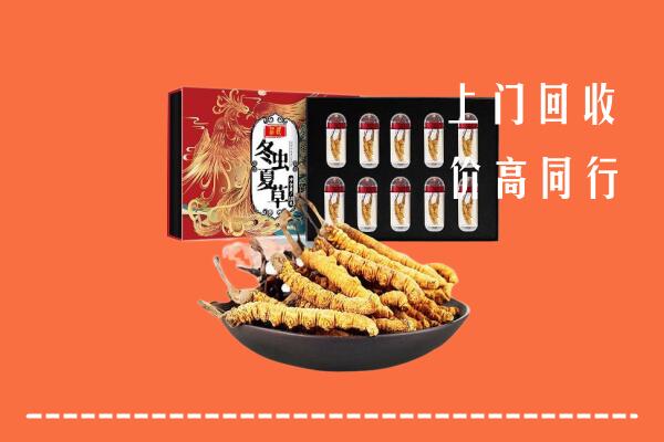 大理回收虫草